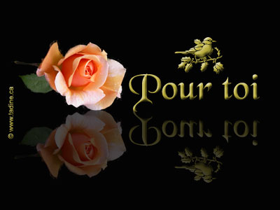 a toi que jaime tant